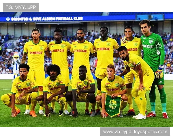 法甲球队经济结构及运营能力深度分析报告 法甲球队经济结构及运营能力深度分析报告