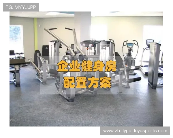 特价健身器材购买渠道及性价比评估