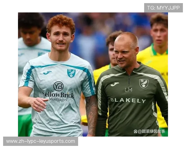 英超英冠球队出售:英超与英冠球队的出售市场分析 英超英冠球队出售:英超与英冠球队的出售市场分析